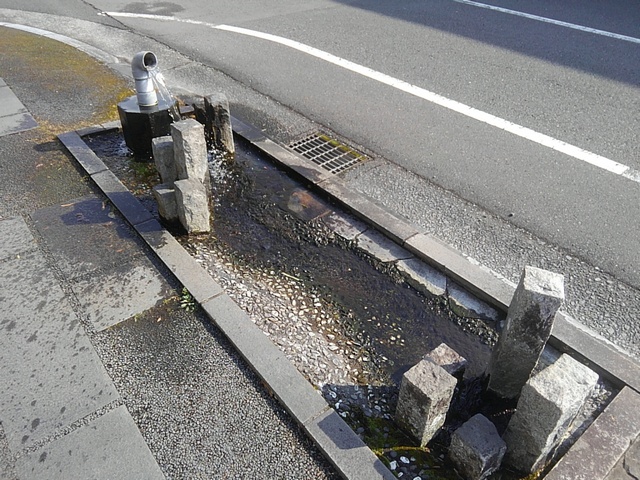 湧水なのかどうか