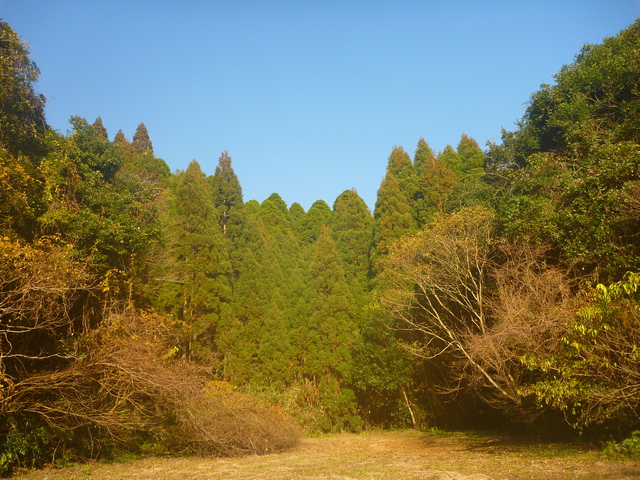 知覧城の城域だったかもしれないエリア